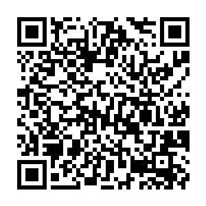 先后把射来的飞针和铁钉震飞可这次凌云撤出的飞针和铁钉实在是太多了二维码生成