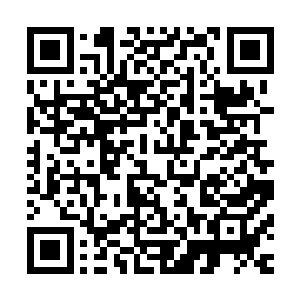 先生……你不要伤害自己……被打耳光……很疼的……咝……二维码生成