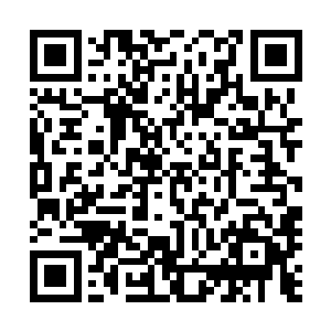 先行抵达的大军已经在准备传送往第一座布置好的乾坤殿了二维码生成