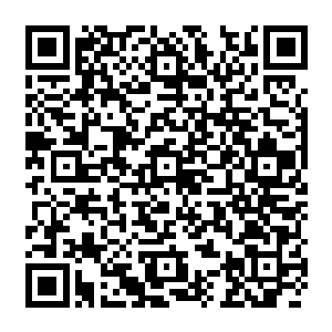 光凭这异形一族和炼妖壶所炼制出来的异形军团就足以让他们婆罗门神族叱咤宇宙二维码生成