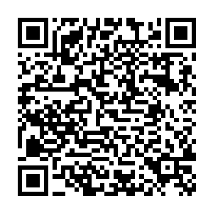 光听他们一唱一和的的话恐怕很多人还会误以为要参赛的是他们俩呢二维码生成
