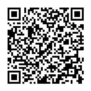 光头再次听到声音终于确定下來打电话來的就是他的老大前任云社龙头大哥云痕二维码生成