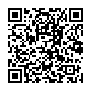光就秦宇先前的表现和一些灵异的现象他们以前又哪里见过二维码生成