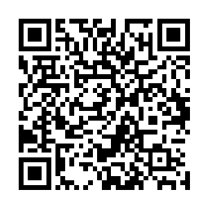 光是学习和掌握佛门道门仙医之术就足以占据所有的时间了二维码生成