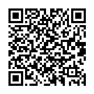 光是看他们周围浓稠似烟的煞气和杀了太多人后遗留的血气二维码生成