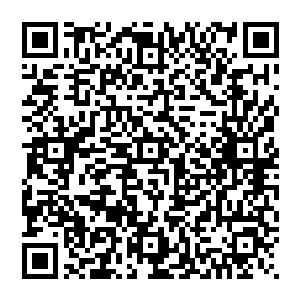 光芒携带满满的生之气　虽说生之气能够让万物复生　可到了极致却是不同凡响　何况风清扬还是僵尸二维码生成