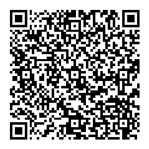 光芒洒下 显得如此透彻 好像他的内心 杀戮的外表之下 其实并沒有想象中的那么坚强 也许带着一份柔弱 但更多的却是执着二维码生成