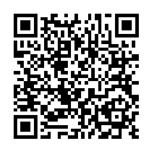 克里上次跟随巴黎经济贸易代表团已经来过一次祝南镇了二维码生成