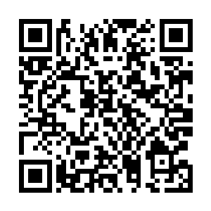 克里斯慷慨地把豪宅的安全密码和操作系统都交给了珍妮二维码生成