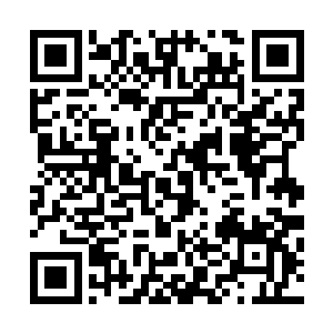 克里斯托弗也可能确实有一段时间真正地乐在其中――不过二维码生成