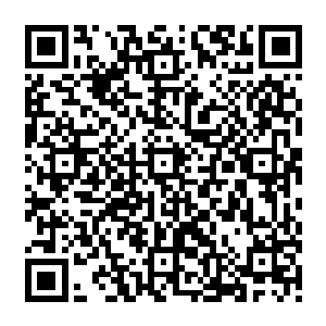 克里斯的大宅自带24小时轮值的小保安队……几乎是人类能想到的任何死角都被封堵上了二维码生成