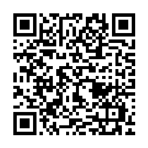 免得等会说又伤到了你……我们可招惹不起你的护花军团……二维码生成