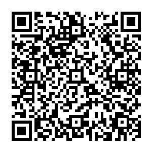 兔豹组合熟练且无可挑剔接近完美的动作吸引了所有刚入训练馆大门的机甲菜鸟们的敬佩二维码生成