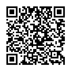 党政办主任杨和平带人端着两碗面条进了梁荷花的办公室二维码生成