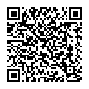 入不了表舅母的眼……可表舅母也不能从此就只当我是个坏的呀……二维码生成