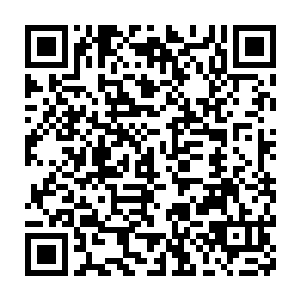 入目就是熟悉无比的异种文字……呈倒体文字在脑海里反转为正态二维码生成