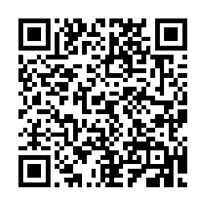 全世界都在yy他和荣光在一起组成的攻击阵容该有多强大……二维码生成