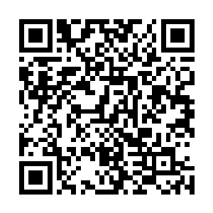 全截面弹性散射探测器将捕捉这些粒子对撞之后产生的粒子二维码生成