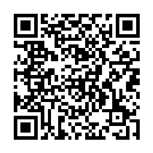 全新的女娲族再也忍受不了在黑墙里压抑和枯燥的生活二维码生成