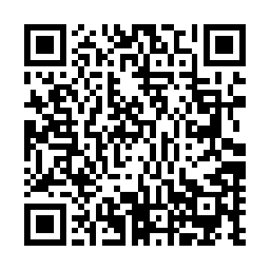 全族上下经历过痛苦和绝望之后此时做好了随时死亡的准备二维码生成