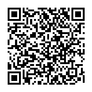 全然不记得刚才的时候自己见到杨戬几个人手中的主神器之后那种疯狂了二维码生成