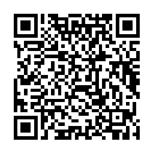 全然没有意识到自己也许会在本体和血傀的决战中被误杀二维码生成