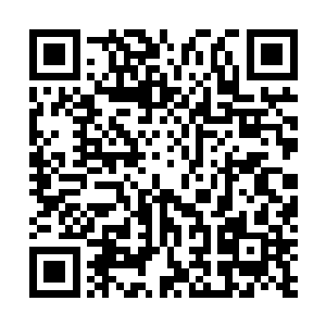 全程基本都是在一旁凉快的陌路离殇只忍不住嘟囔了一声二维码生成