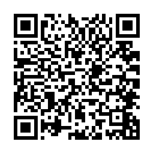 全程由我引动渡仙雷法不断借来界力进行脉络扩张提纯二维码生成