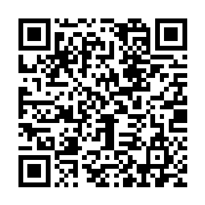 全身上下就像是有无数的小虫子在血管和内脏中不停地爬动一样二维码生成