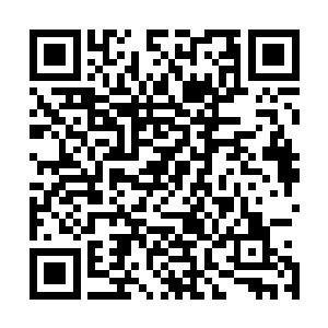 全身湿透的林锐下令让队员们继续向从林更茂密的位置撤离二维码生成