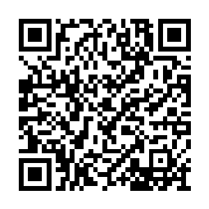 全身的衣服已经让劲气给撕的破碎的不成样子了二维码生成