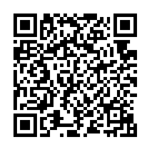 全部是采用太初归元城临海区域所生长的一种归元仙木所造二维码生成