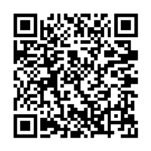 全部都是关于连忆晨再次用天价竞标地皮的新闻二维码生成