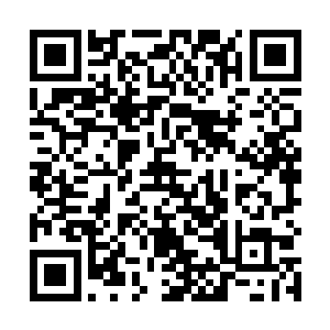 全部都是门外汉……你说你能不跟无头苍蝇似的乱撞吗二维码生成