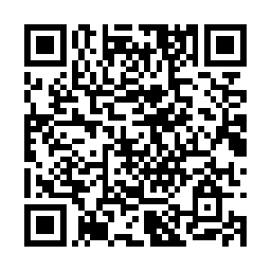 全都在旁边的分析光幕中化作了数以千万计的数据二维码生成