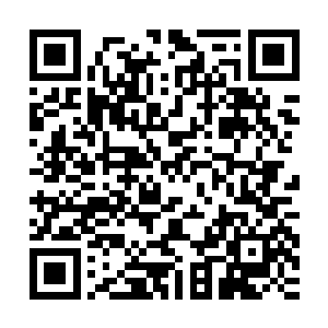八位魔狼族魔皇和一位魔龙族准魔帝在重生魔界的洪荒地带战斗二维码生成