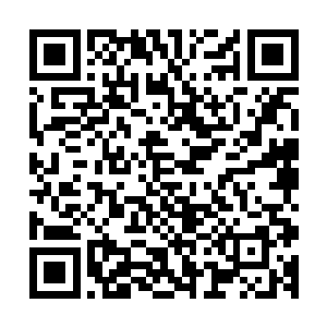 八台服务器级的电脑设备整齐的摆放在了早已经准备的机架上二维码生成