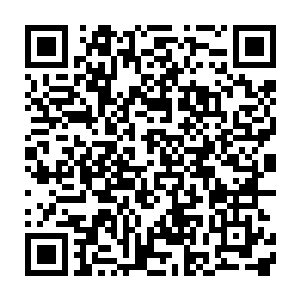 八品开天的天地伟力与墨族域主的墨之力在这一小片战场上碰撞交织二维码生成