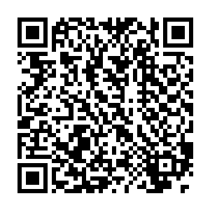 八大家族的人还没有完全确定它就是守护家族寻找的上古神兽天翼神虎二维码生成