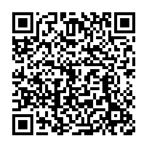 八成是前面先回村的那些村民把他在县衙里的事迹大肆渲染了一遍二维码生成