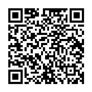八戒那狠狠一巴掌抽在玉罗刹的脸上就已经把他的脾气给打没了二维码生成