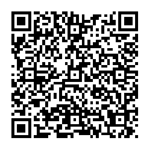 公司里给他们这一批此前没有什么表演基础的签约演员报了一个为期半年的表演特训班二维码生成