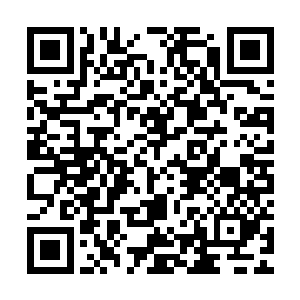 公开和地下的赌局……这一切已经形成了一条无比庞大的利益链二维码生成