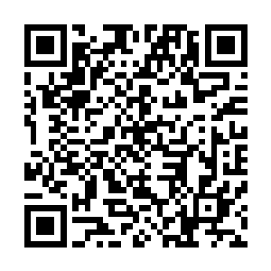 公羊家主绝不会亲自给他鸿雁传书邀请他参加公羊家的文会二维码生成
