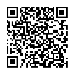 六大主要属性里面的数据都从注射病毒前的平均一百不到二维码生成