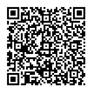 六成撕裂意境加百分之一的圆满剑势再加上论质和量都超出普通气海境小成剑者的剑气修为二维码生成