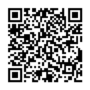 兰开斯特和塞隆两个角色就像是真实生活在我们身边的一样二维码生成