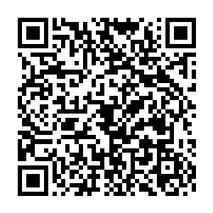 兰蒂卢斯在动手前就已经猜到修真者中很可能出了一个不得了的人物二维码生成