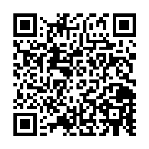 共同语言还是很多的……秦方的伤势基本上没有什么大碍了二维码生成