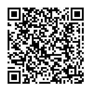 共推出仙器级法宝十九件……极品稀有仙玉一块……稀有仙草十二株二维码生成